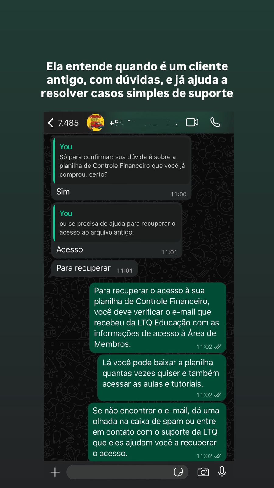 Conversa WhatsApp - Suporte